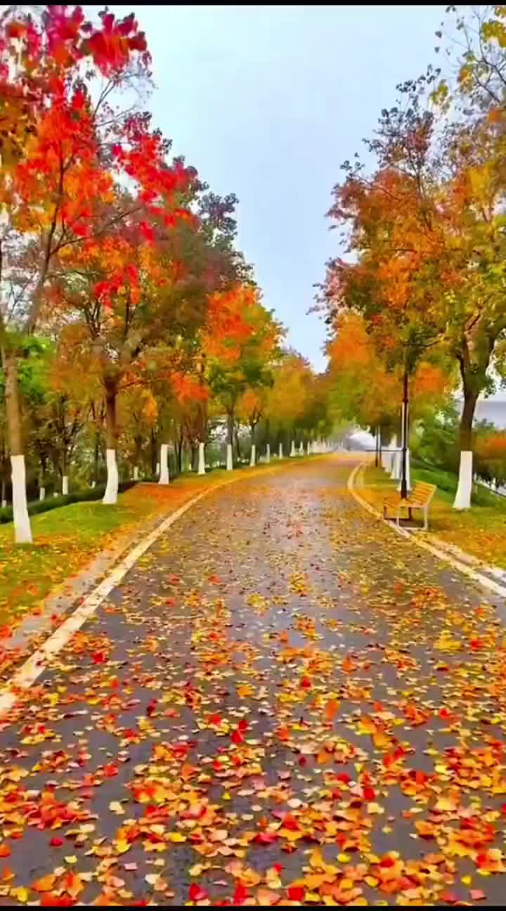 @Роза Долгова