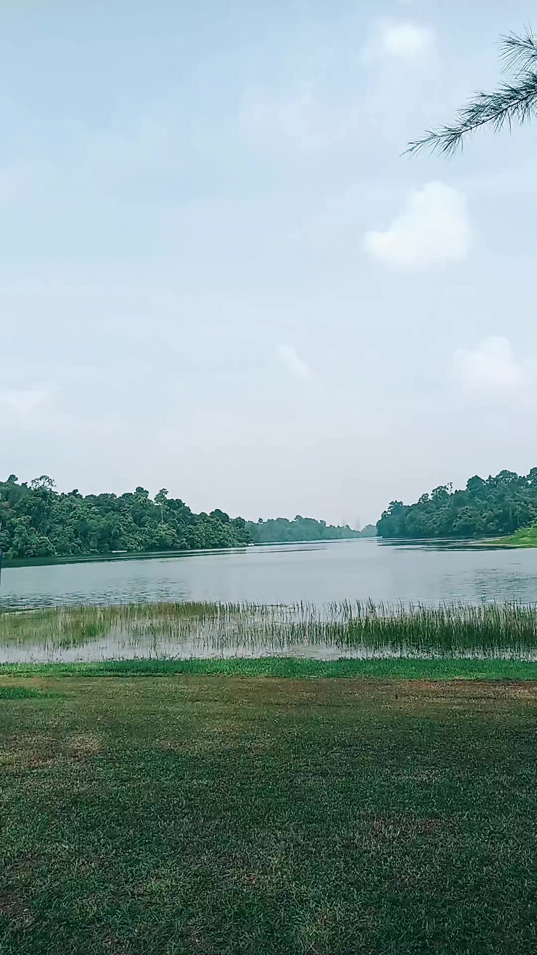 @mujee126
