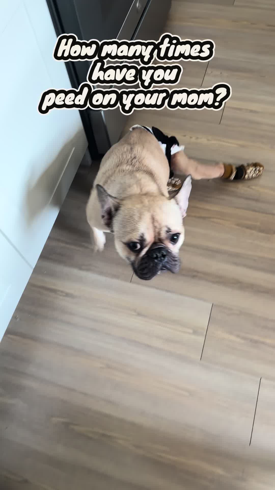 @Punmasterflex93