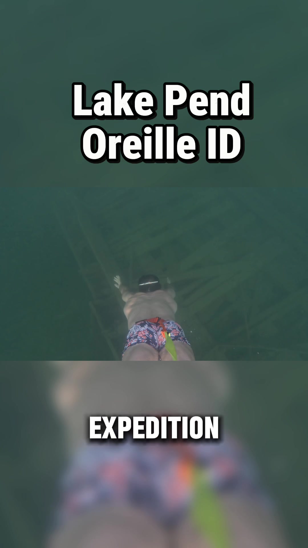 @OWSwimmerX-NedHastings