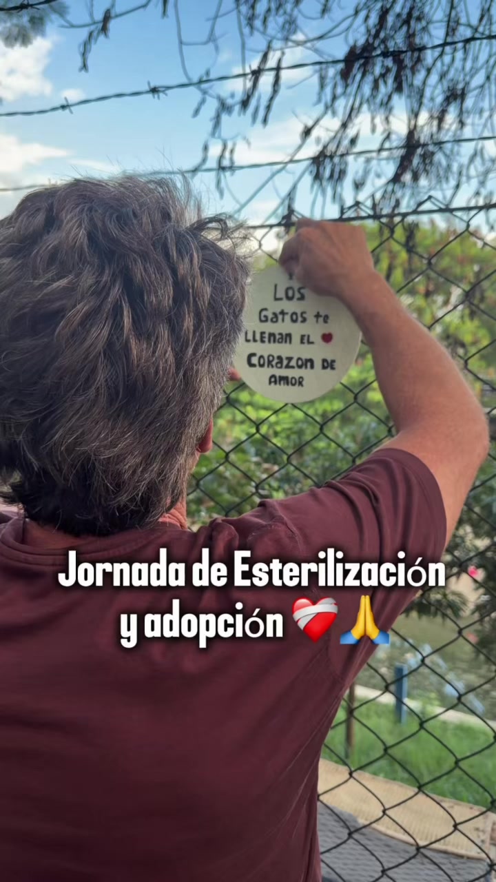 @el_gatoescobar
