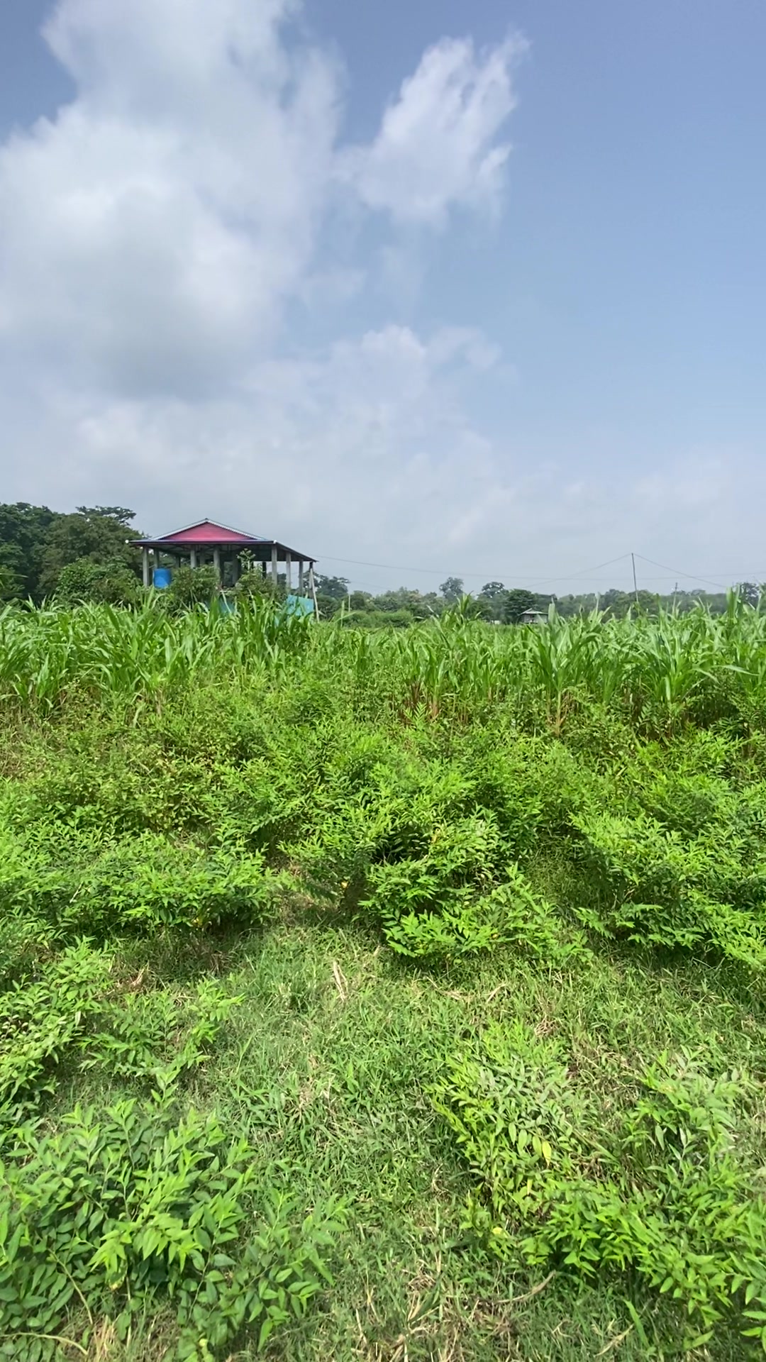 @Bhuban Thapa Real Estate