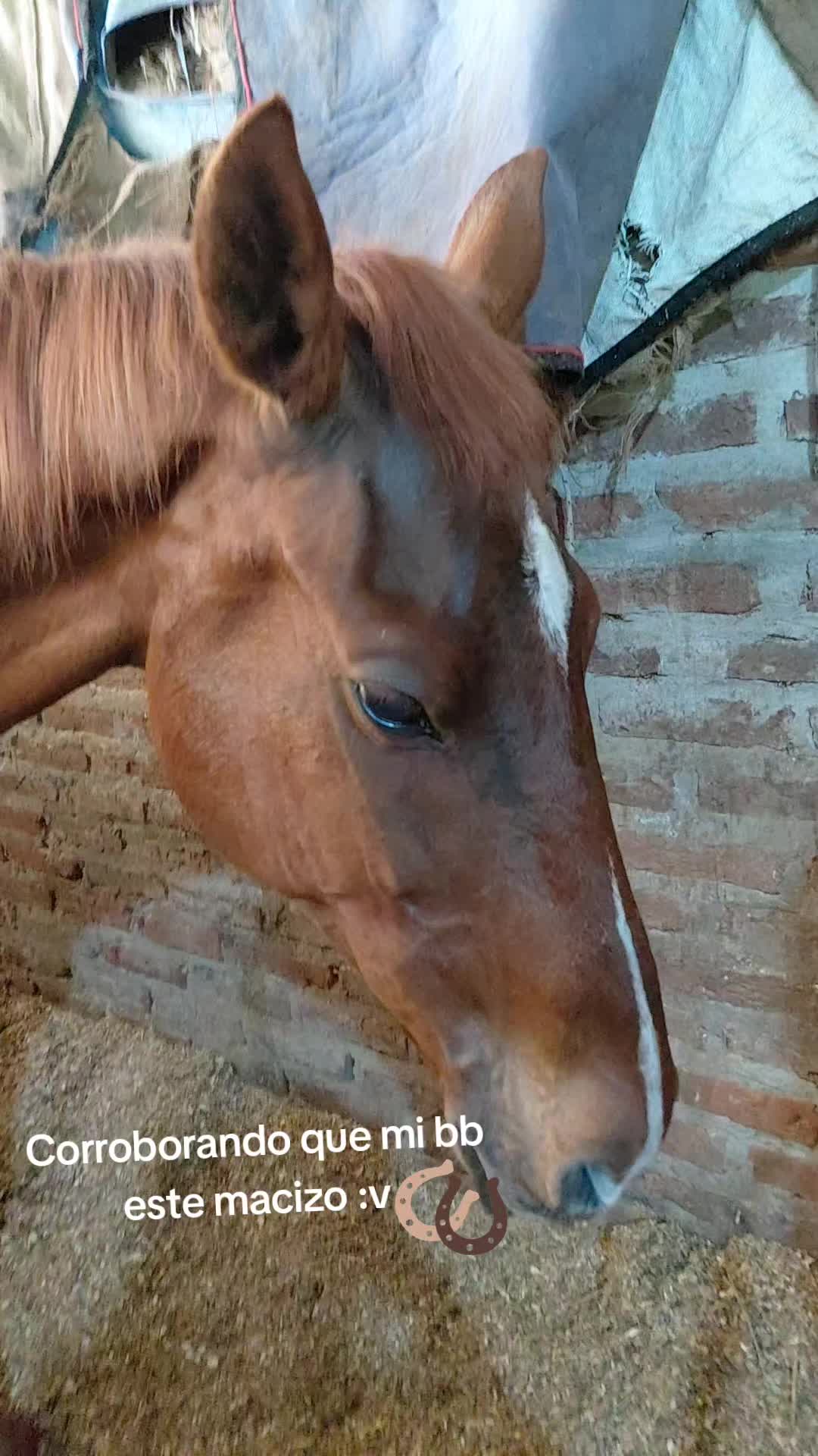 @Chioss