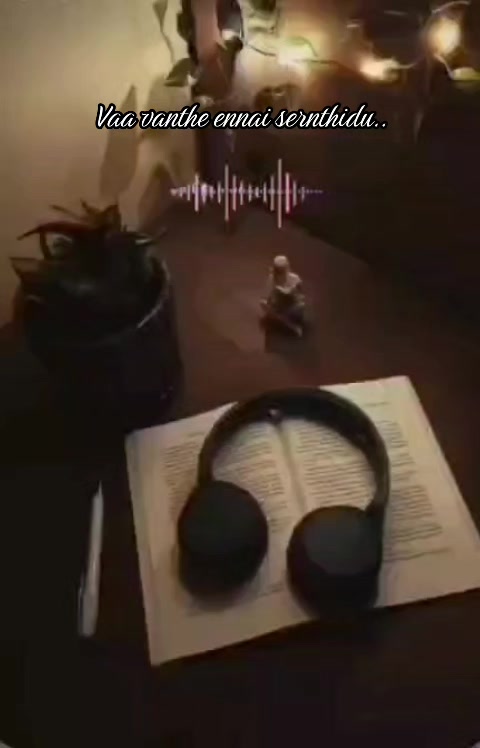 @Shan1313