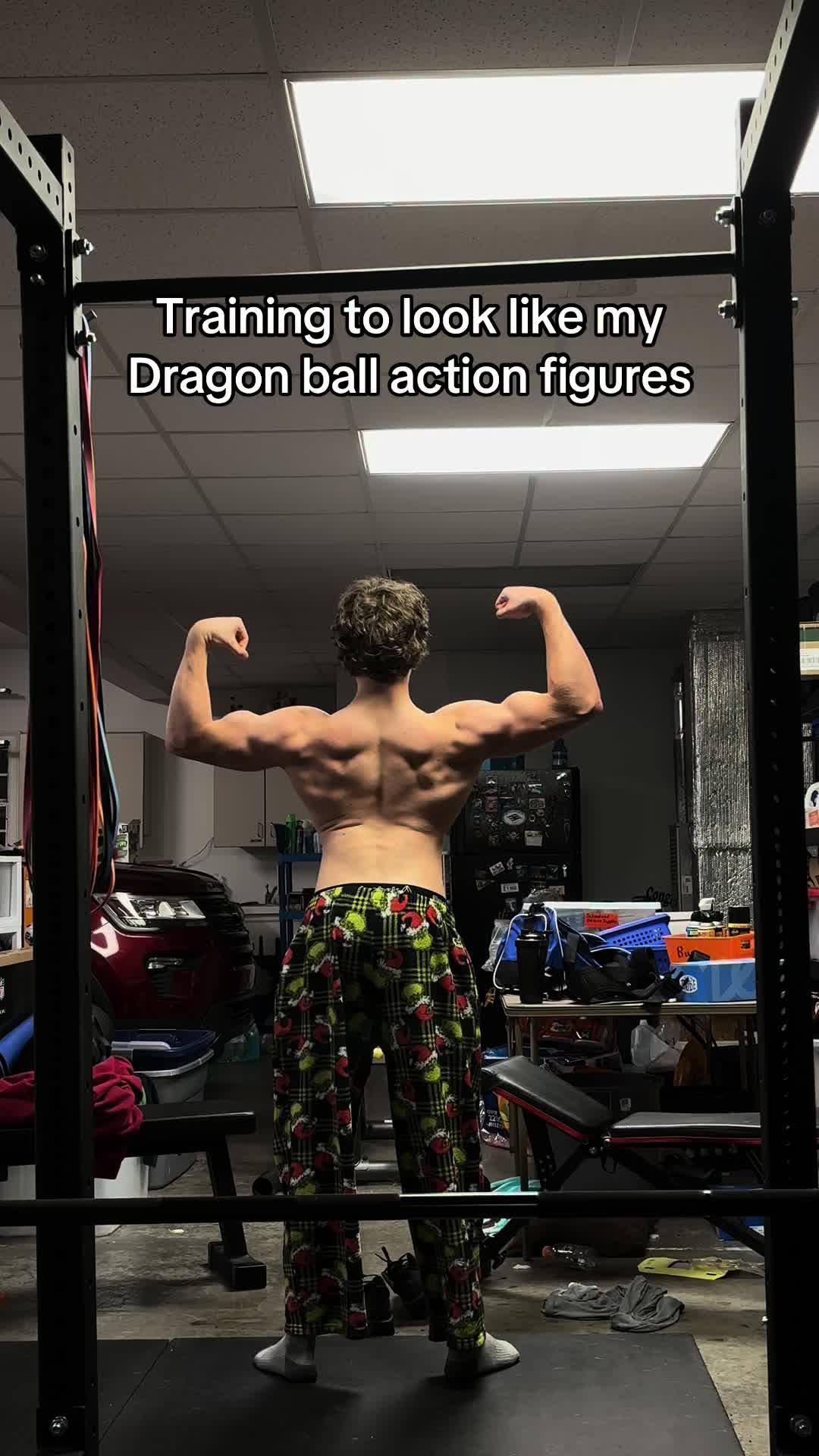 @fullmetalALC