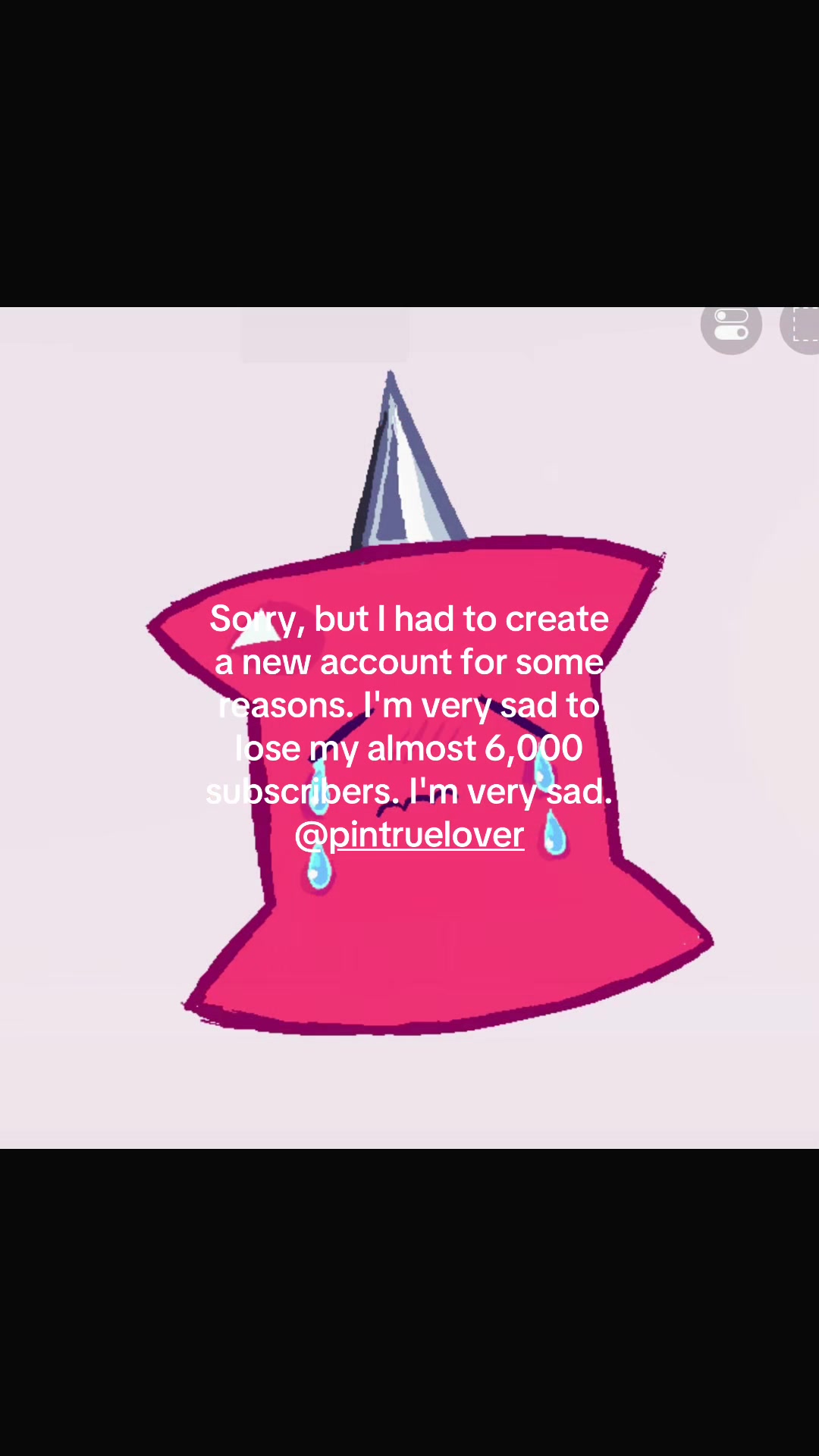 @pinnie.pinkisser
