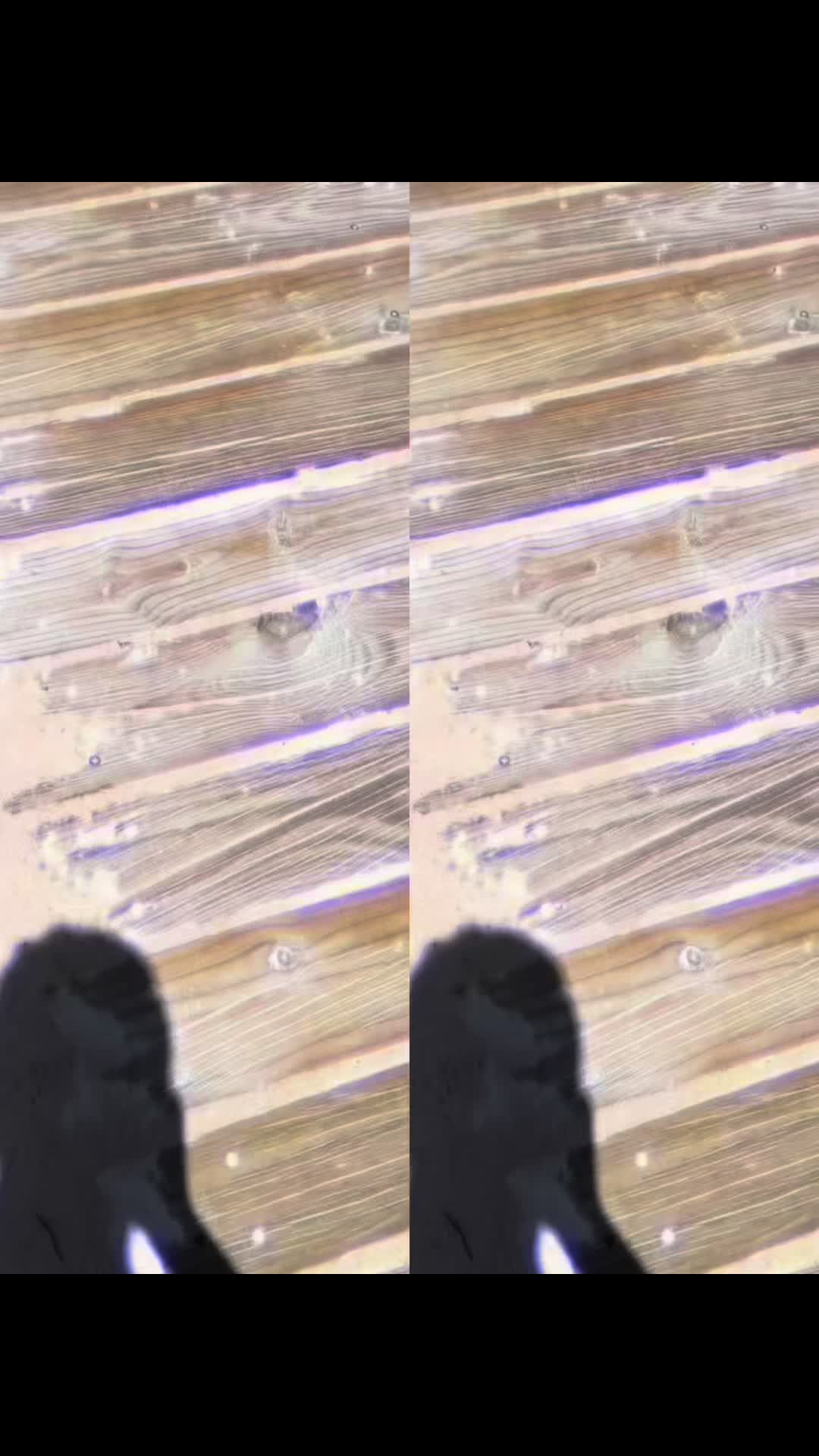@ً