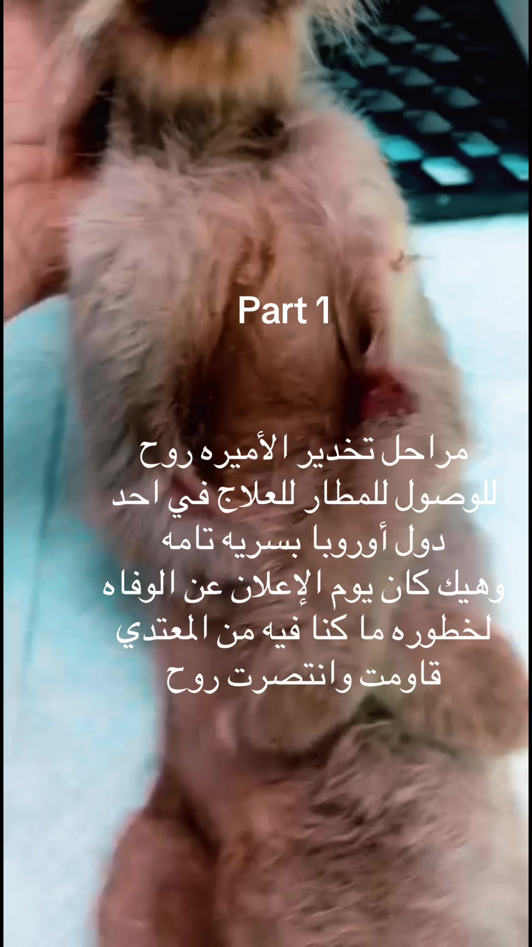 @رنا الروح