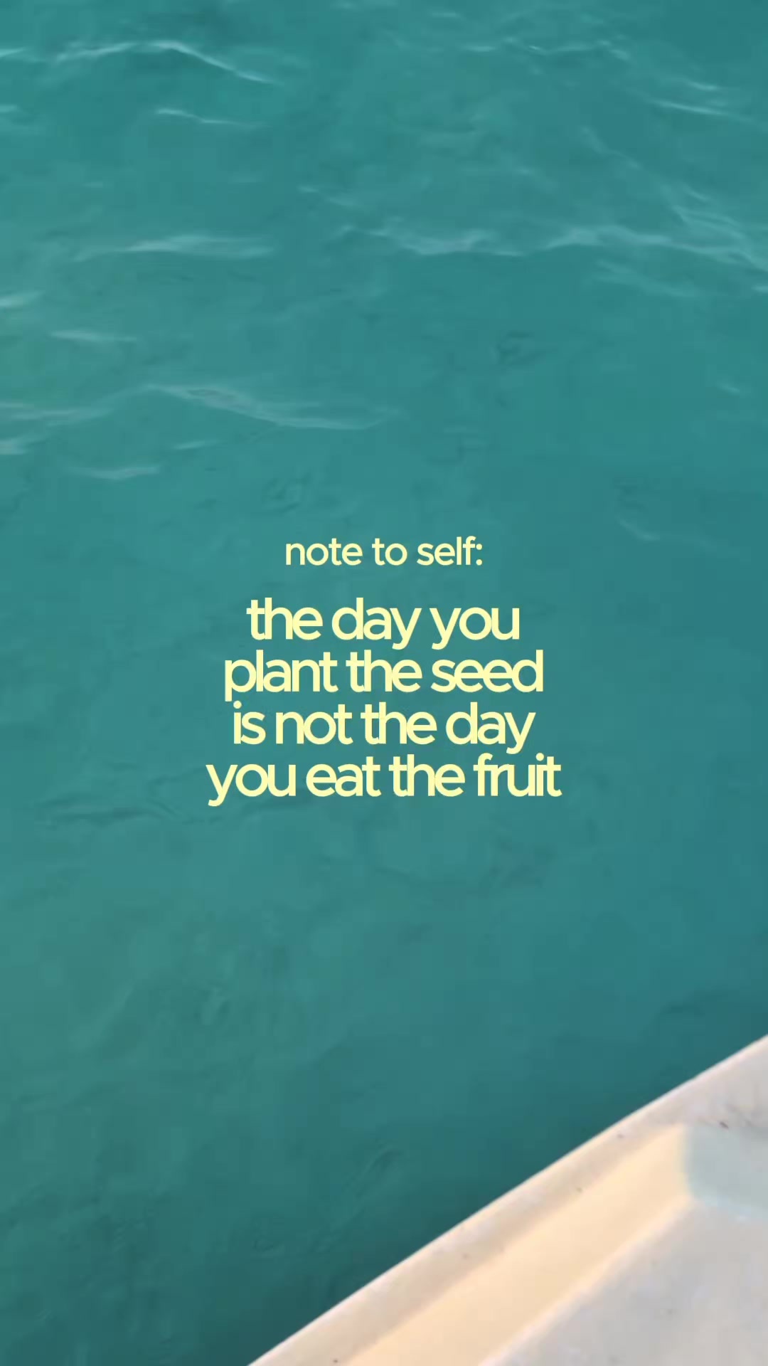 @Betty Lankford 🌿