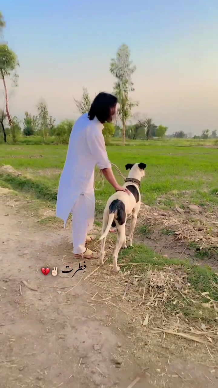 @☠️🦁𓆩512𓆪 لجپال گروپ 🦅🖐️