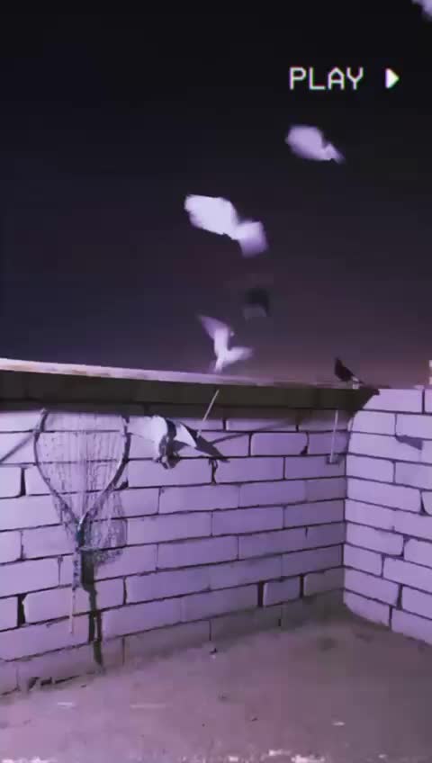 @الہٰٖسہٰٖلہٰٖفہٰٖر ۦٰٰٰ
