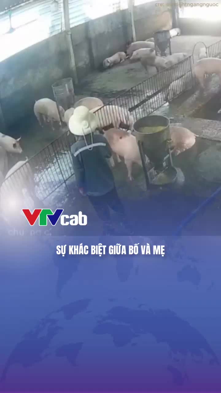 @VTVcab Trending - Giải trí