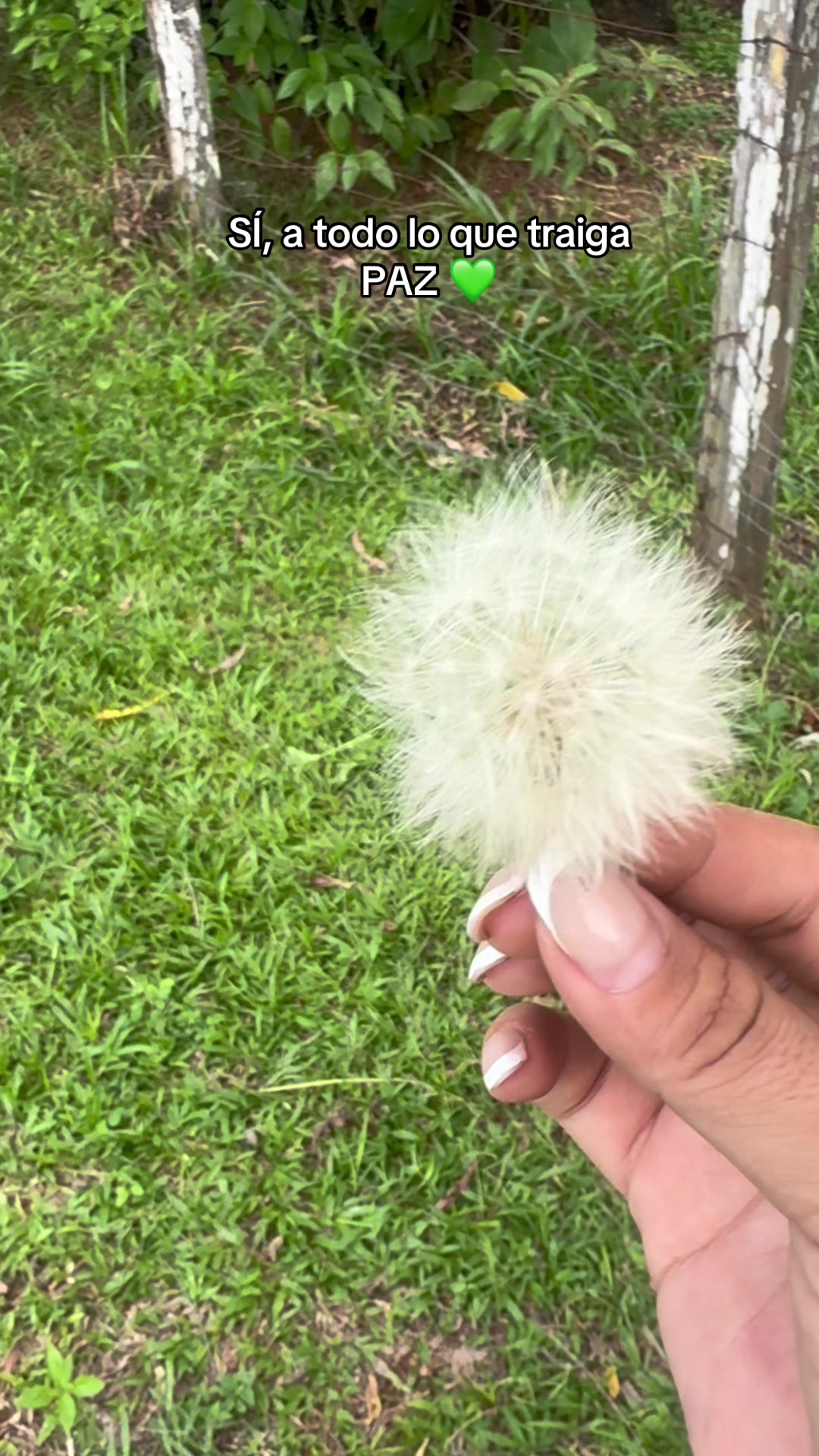 @Y🌼