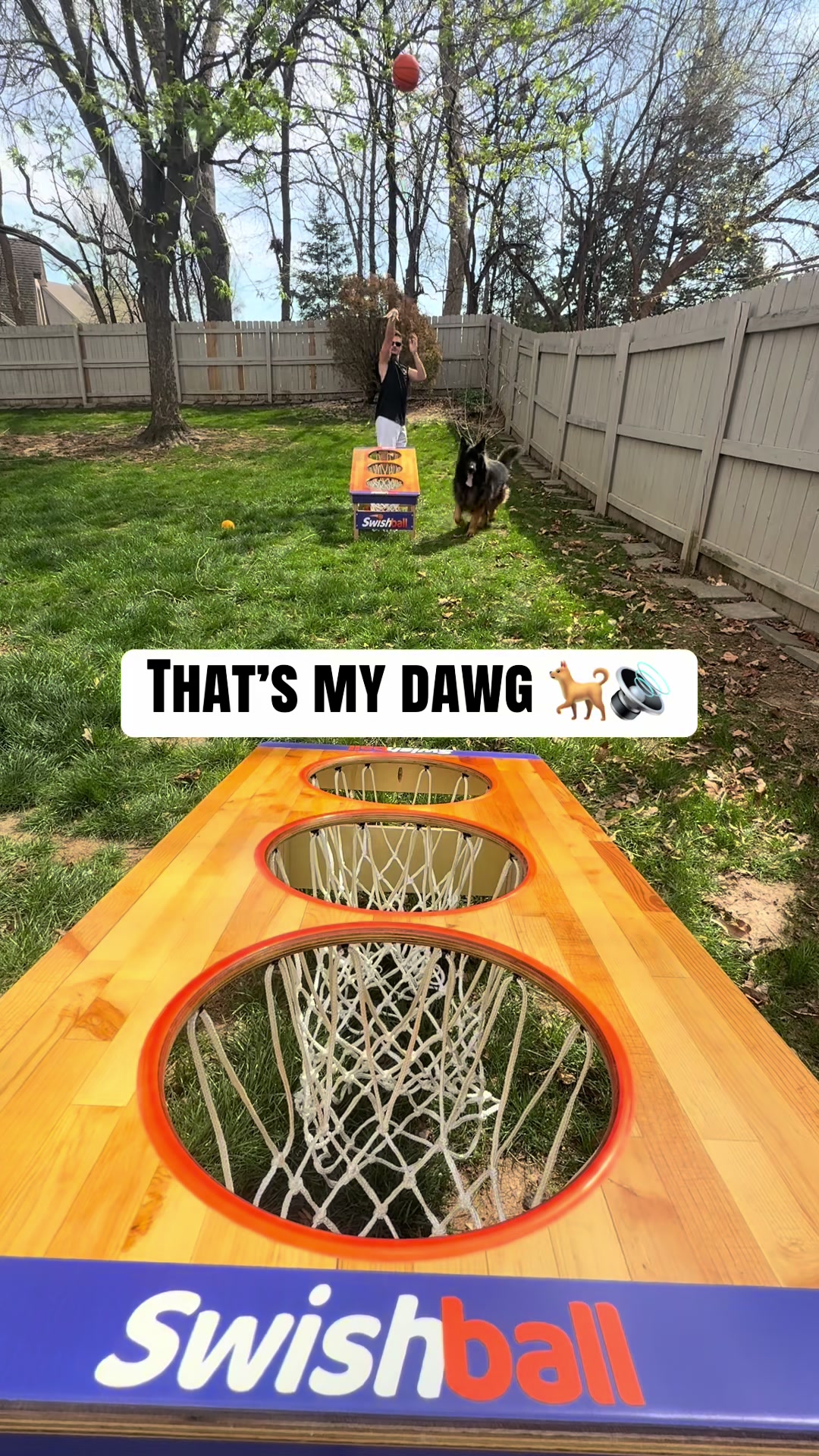 @Swishball