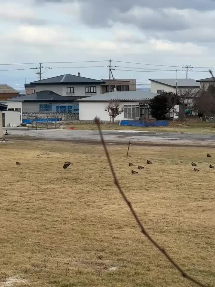 @レハ