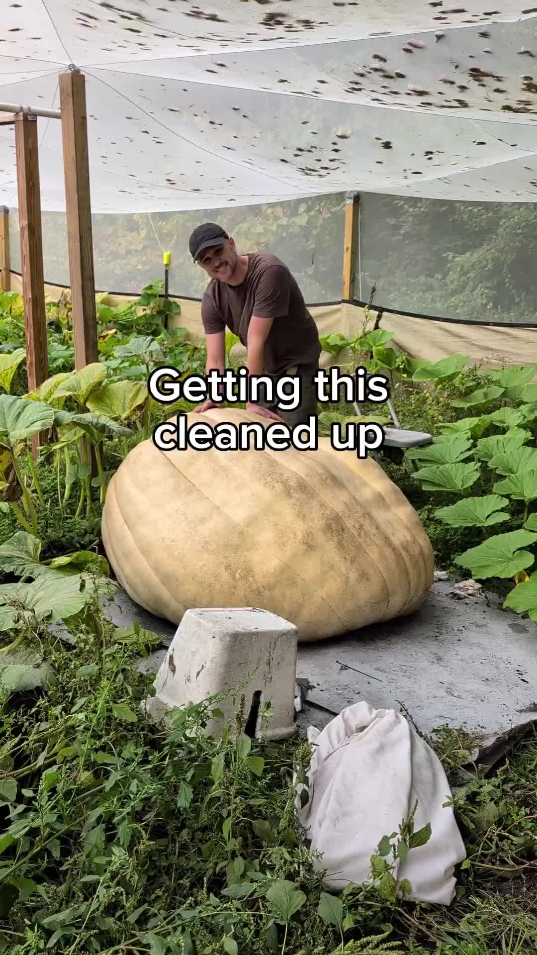 @bigpumpki