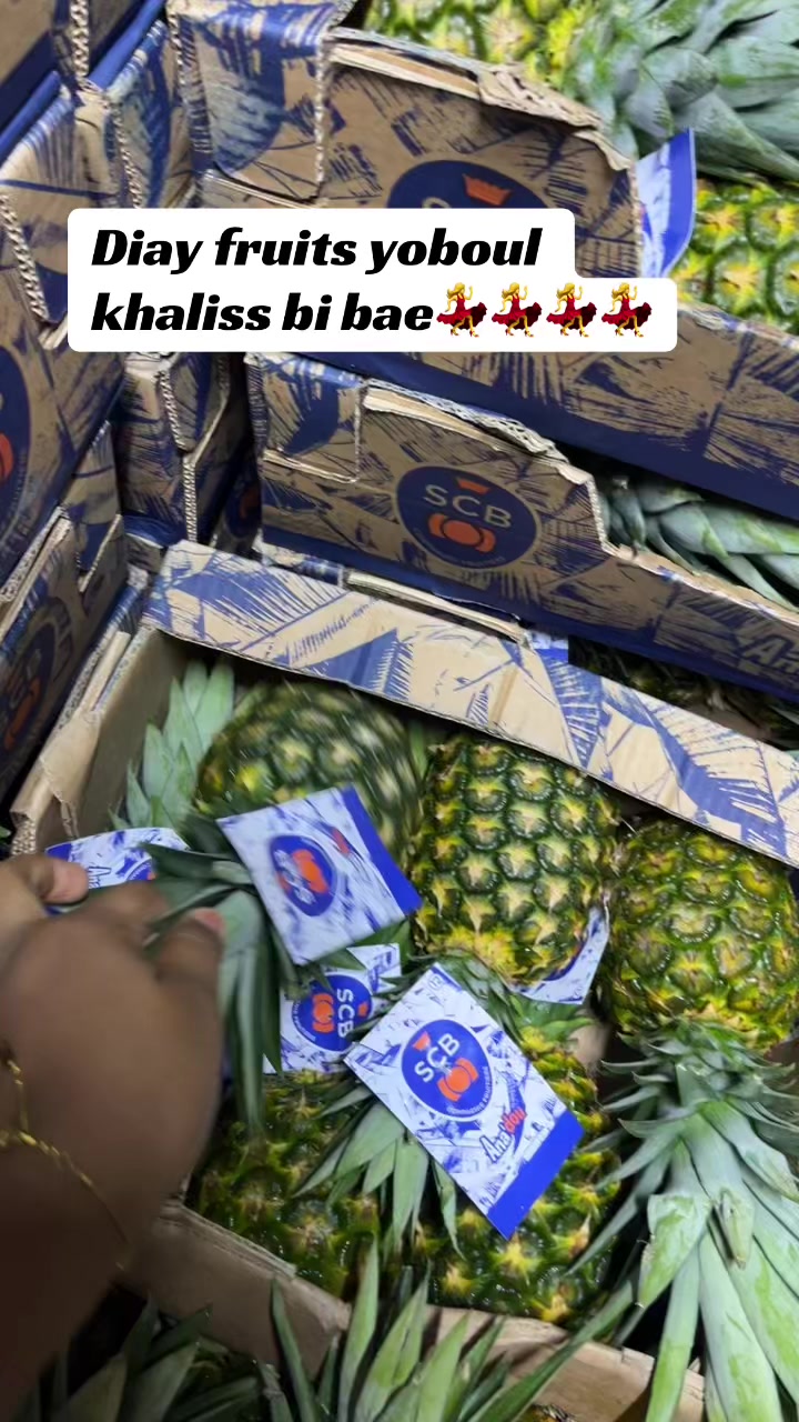 @Fruity Box🍇🍏🍌🍊🍎🥭