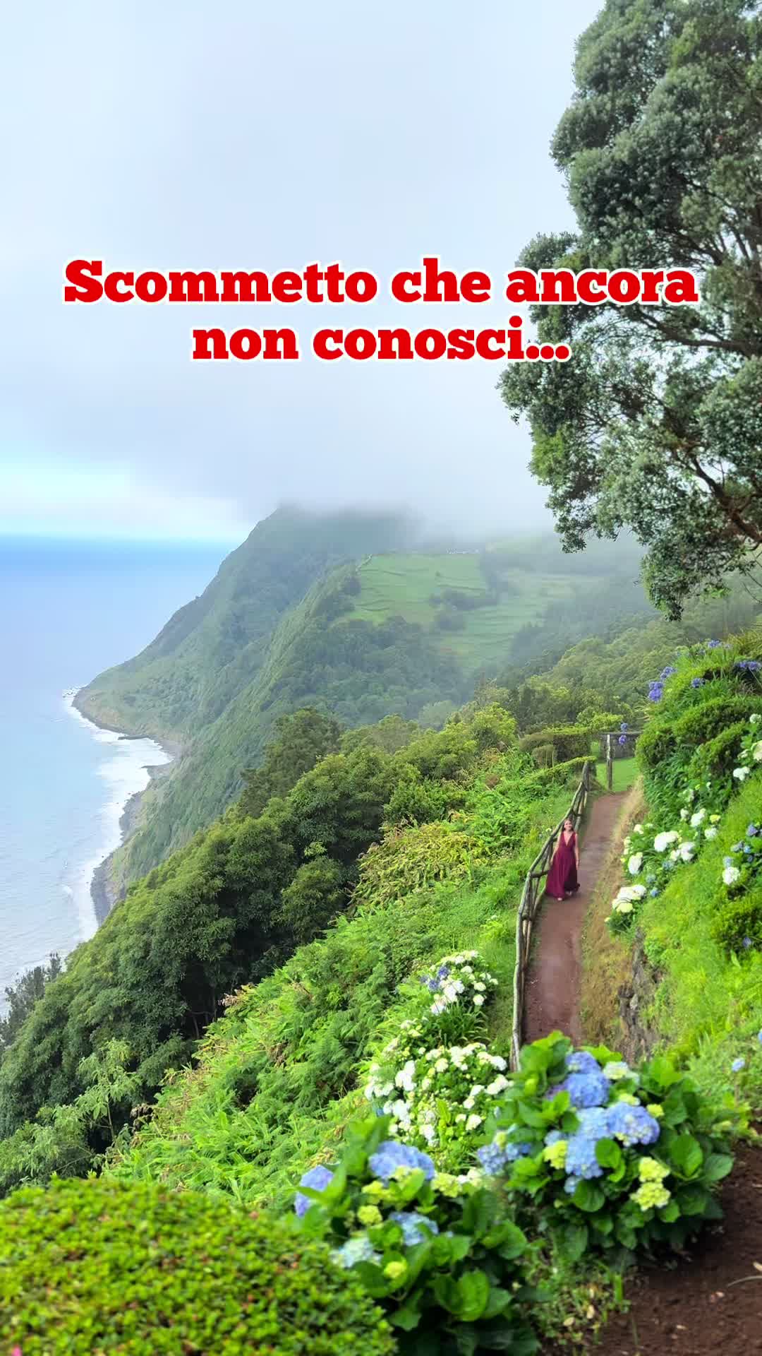 @lazzaroniontour