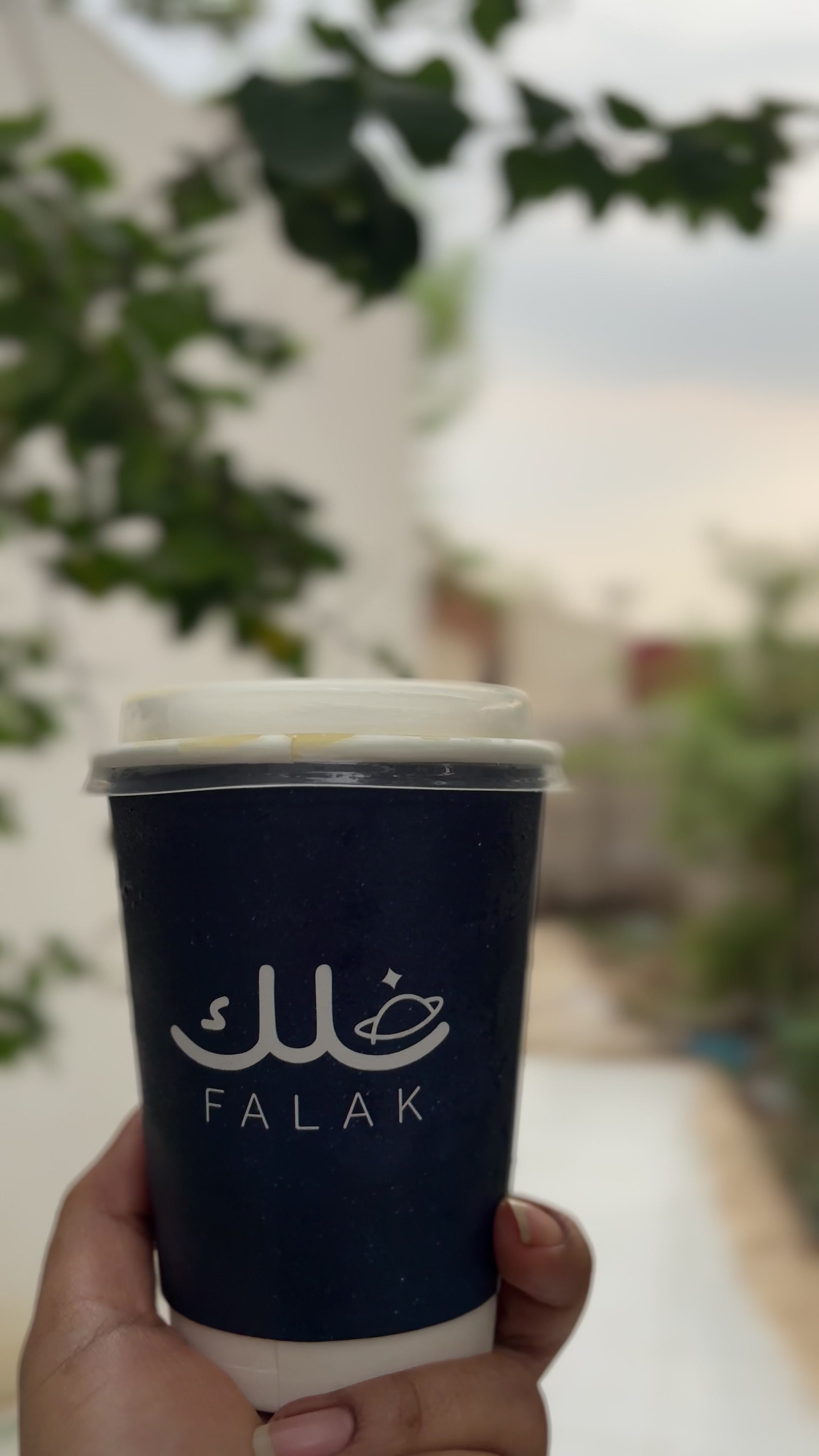 @عقيله هتان