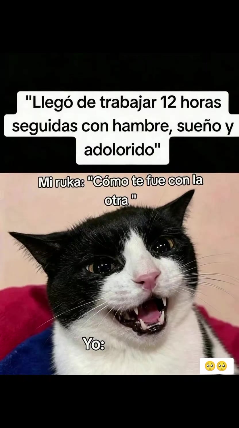 @memestristemariicruz🐈&zwj;⬛ 🤣😔
