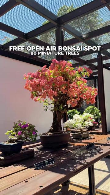 @BRISBANE