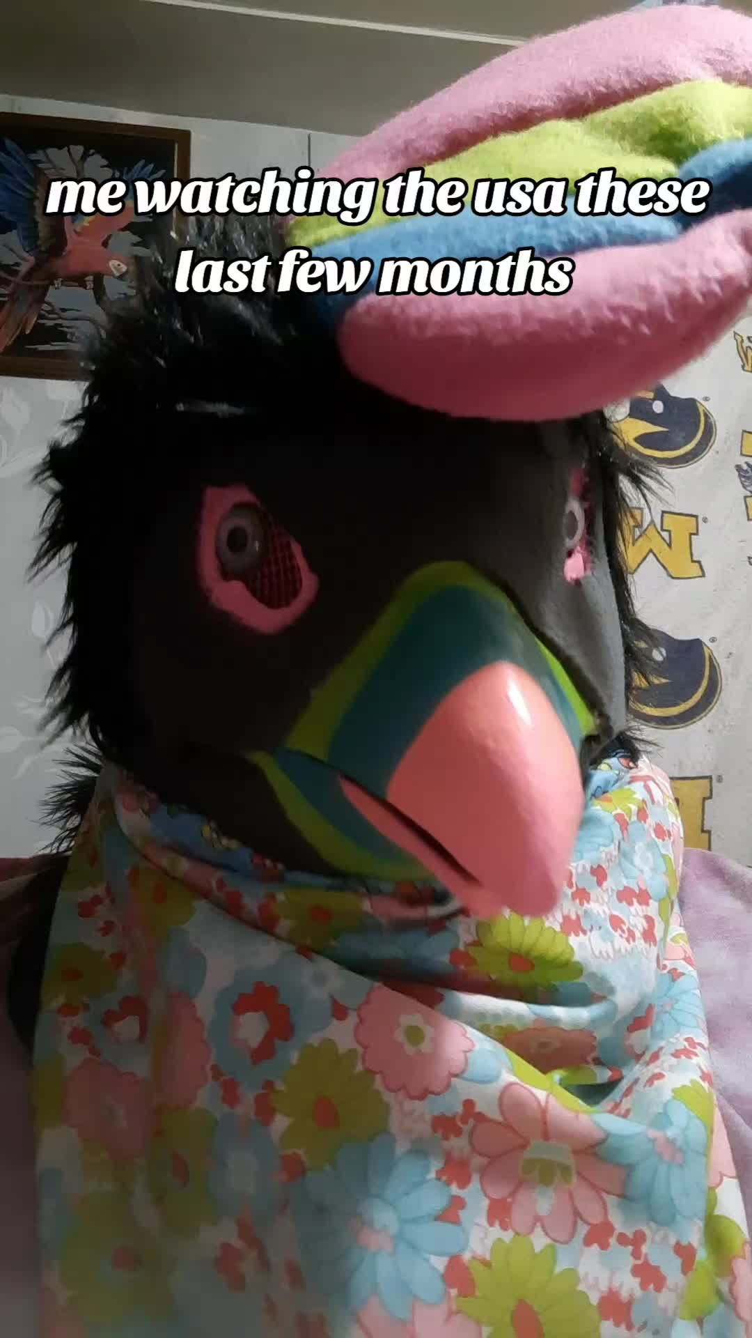 @fluff_ball_furry