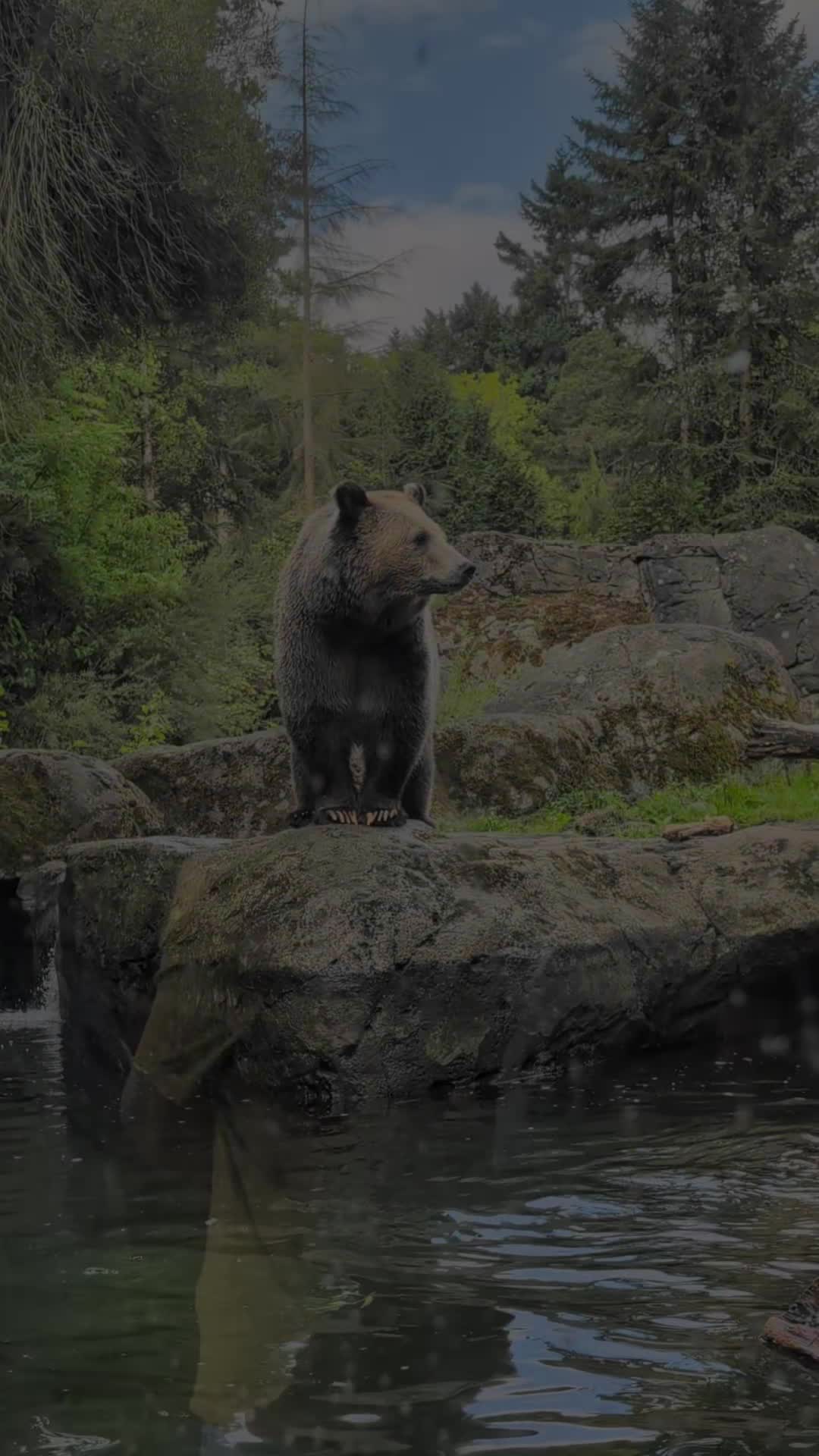 @country_badass_91