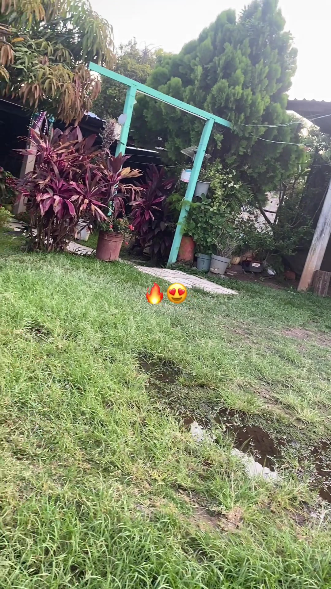 @Desobediente de Uruapan🤠🍀