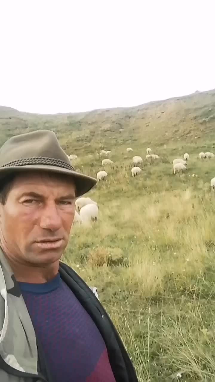 @Ionuț Boghitoi 38