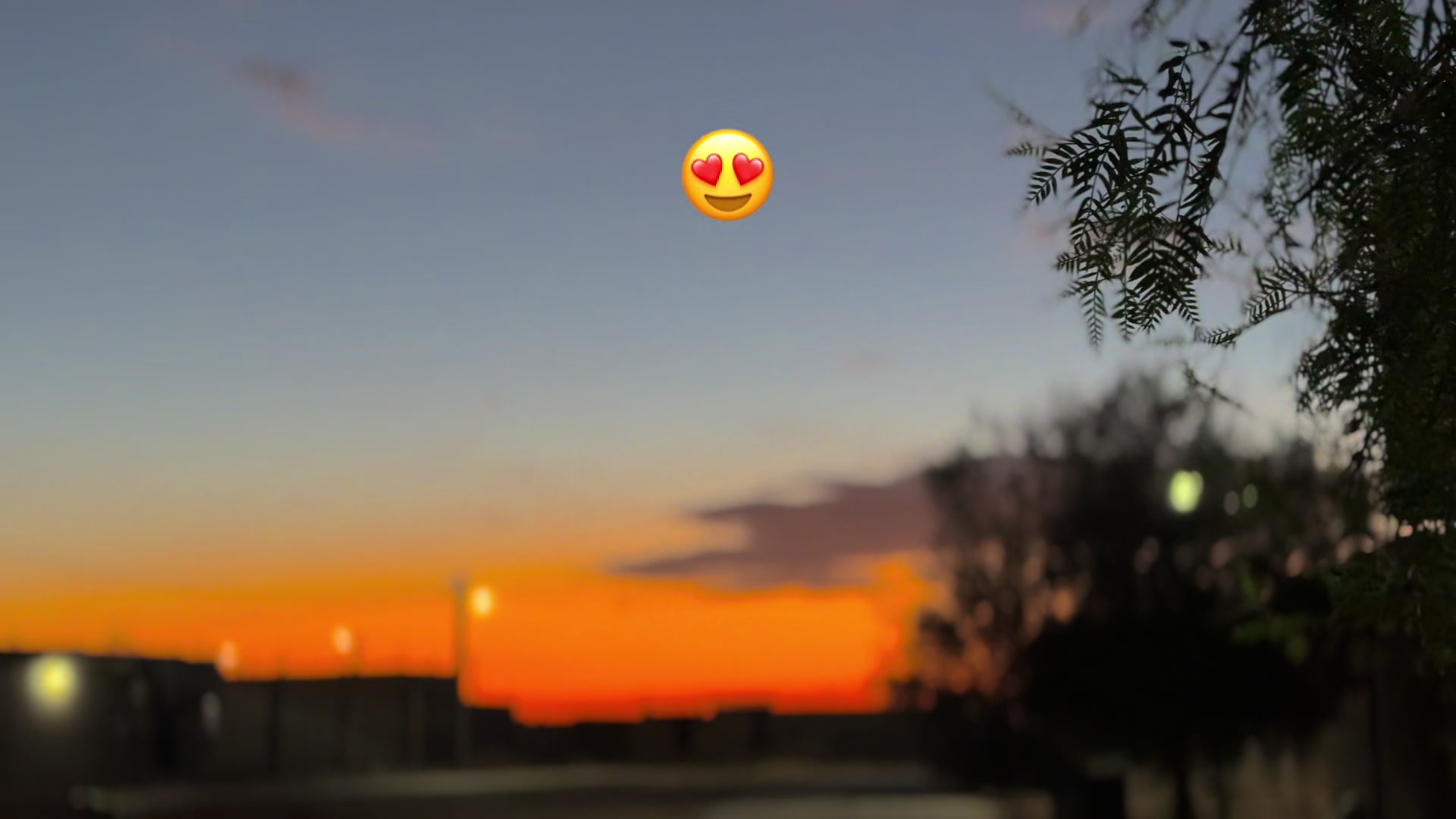 @edit_photo03