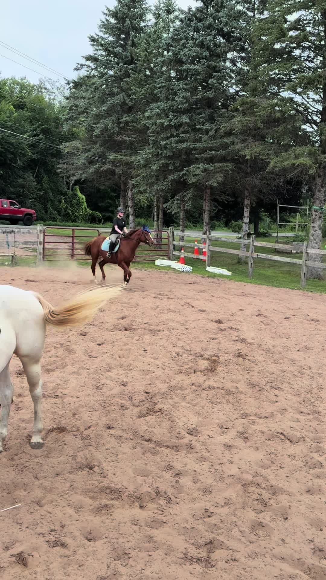 @🐎Aby 😌👌✨️