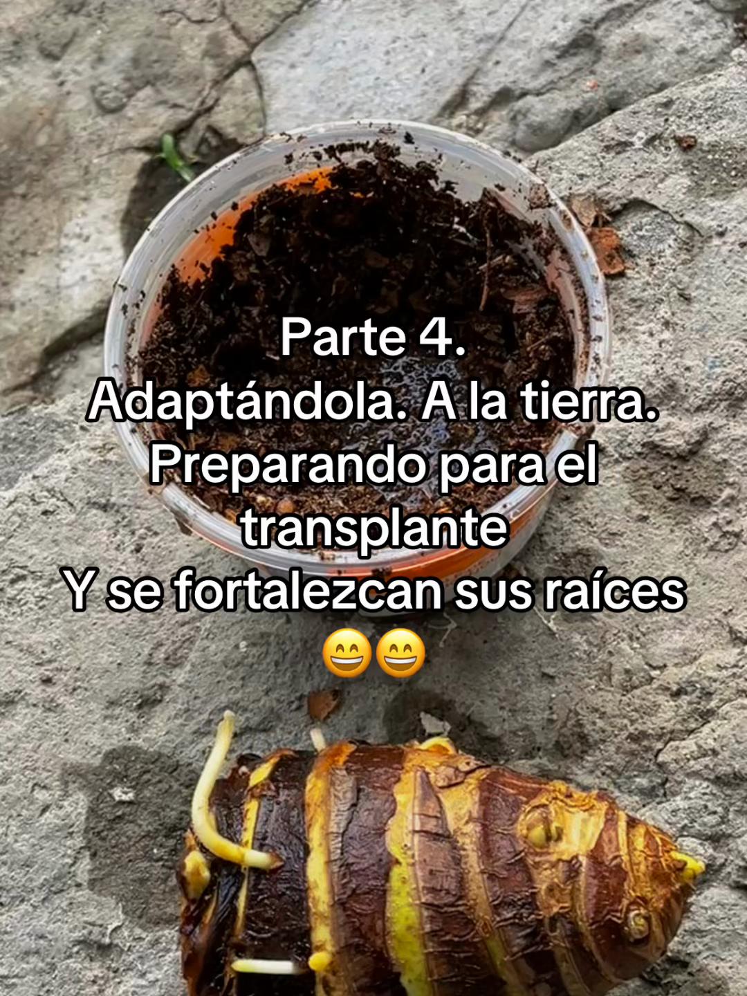 @☘️MEJ&Iacute;A ☘️T&Eacute;LLEZ ☘️ RODRIGO🤠