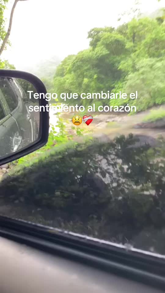 @melissa_c.19