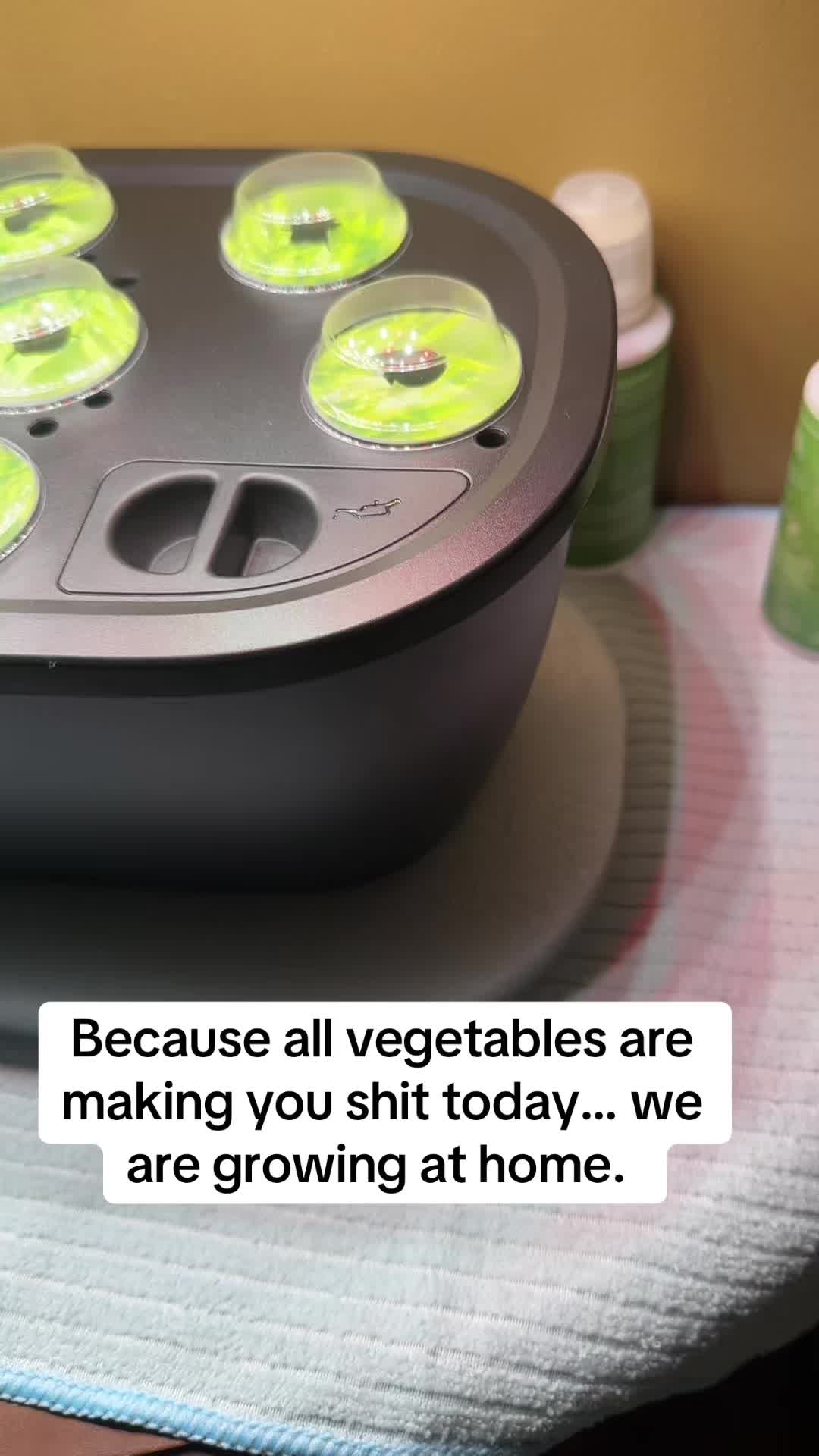 @Vanessa Matos