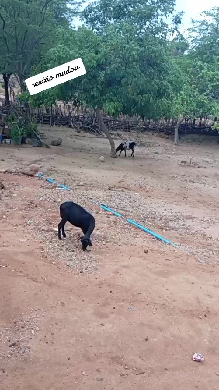 @Concei&ccedil;&atilde;o Santos ❤️