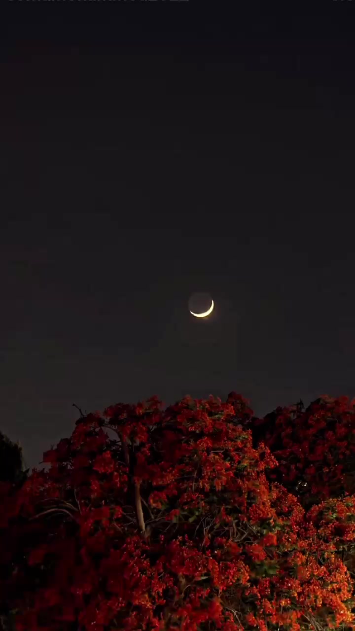 @ظل القمر🌙🇹🇳