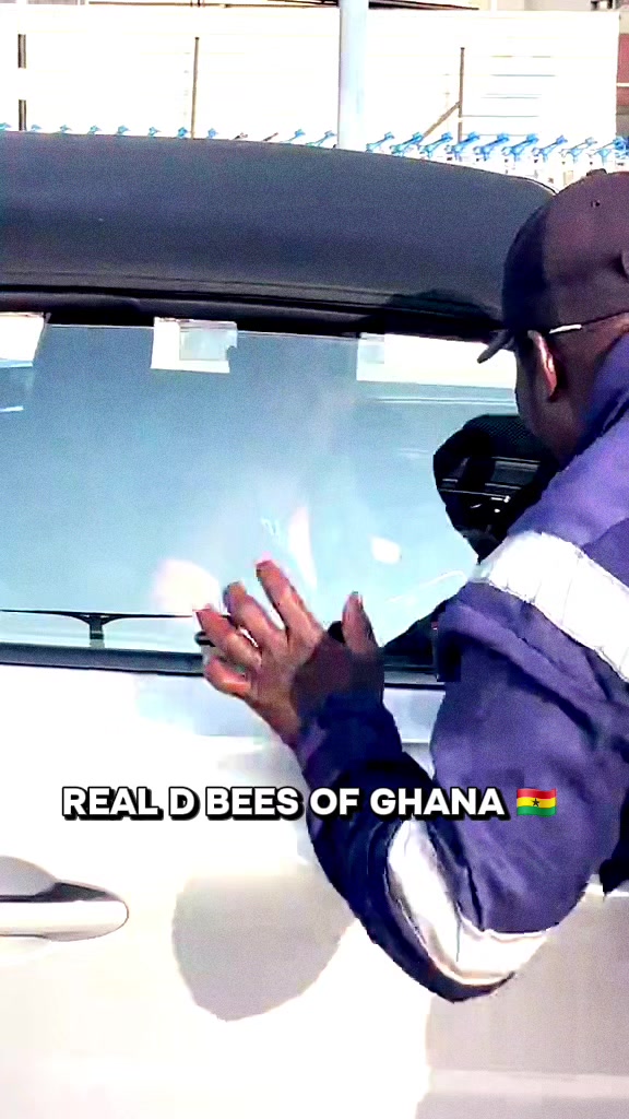 @Borga_papa_paa