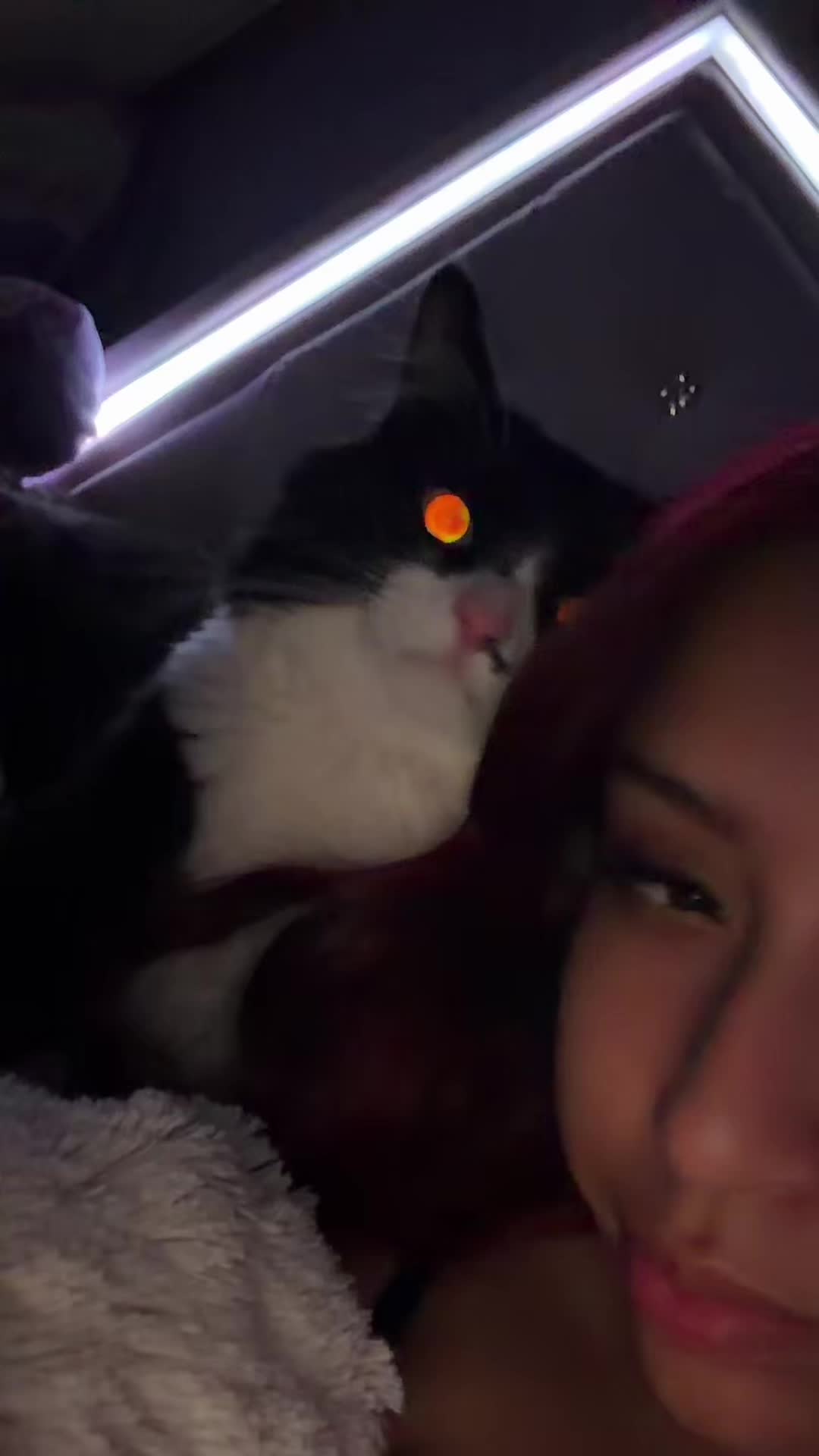 @ᴋᴀʏ♕