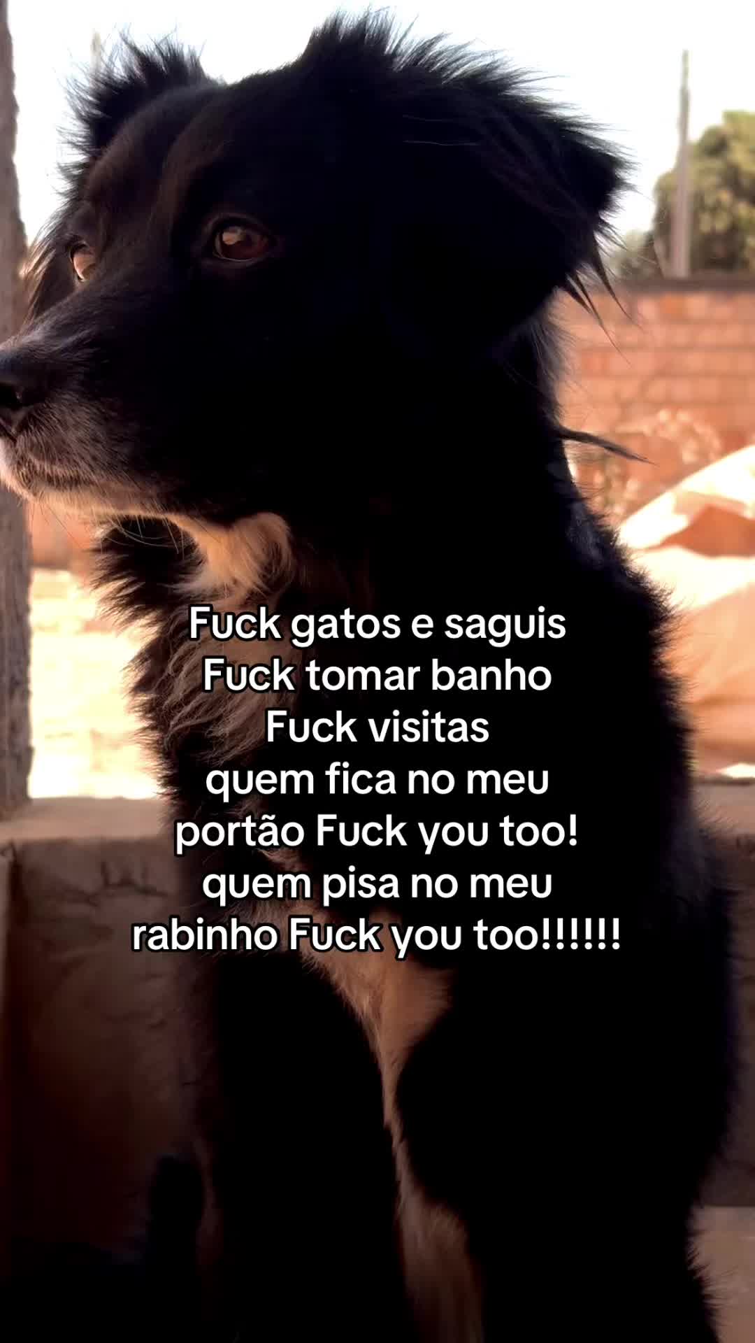 @Raza