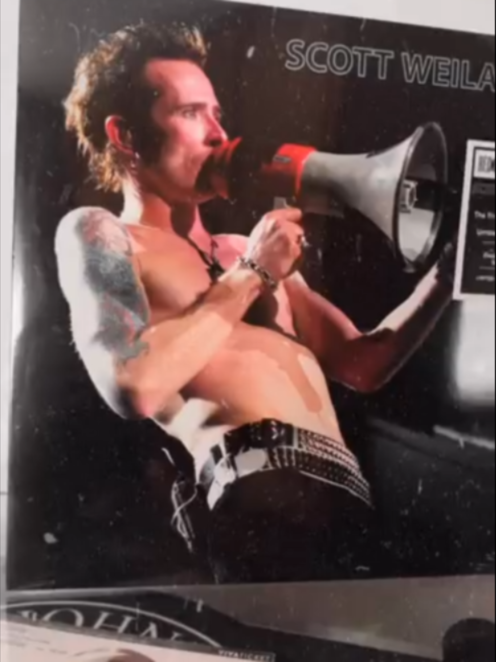 @Scott Weiland