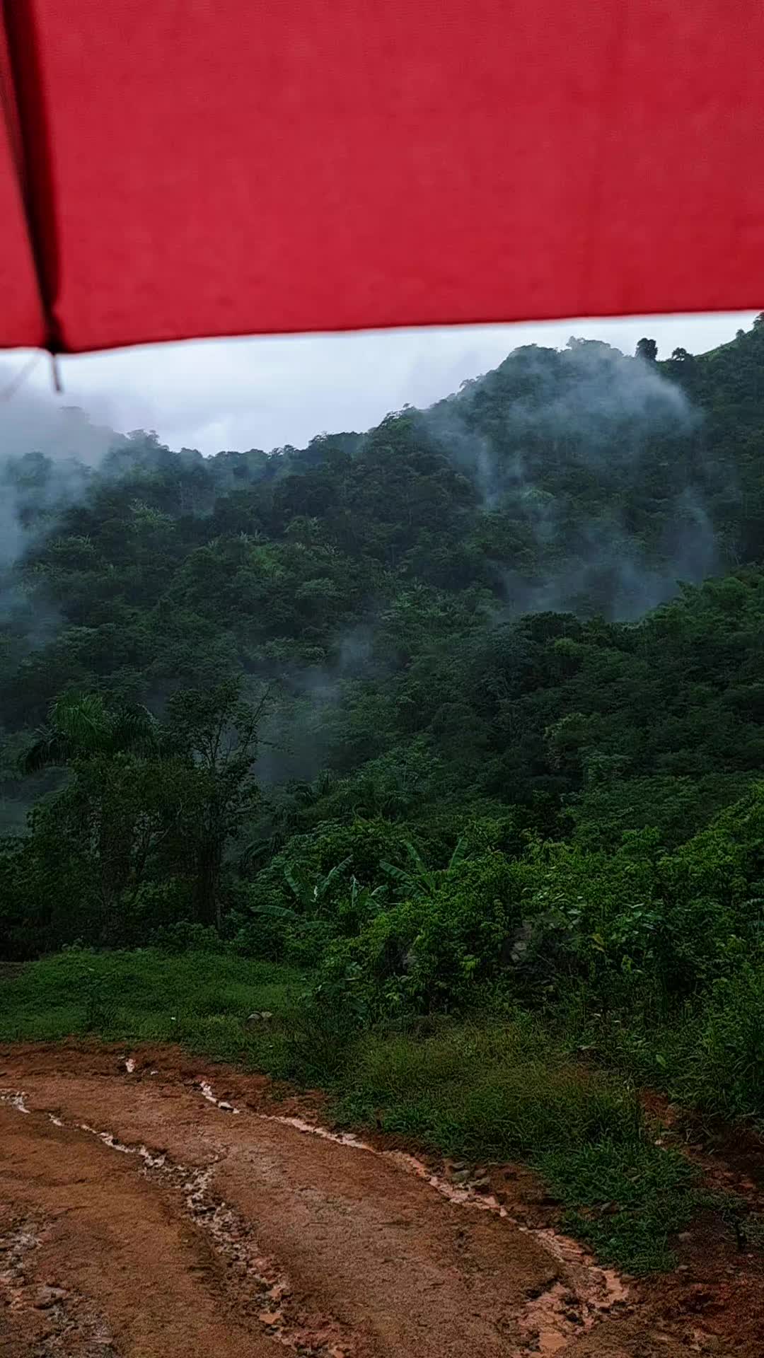 @Nina 🇵🇷🇲🇽
