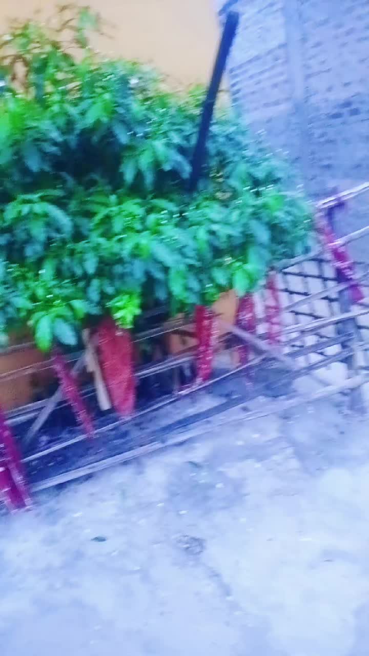 @JAY_Maa_Mahakali❣️