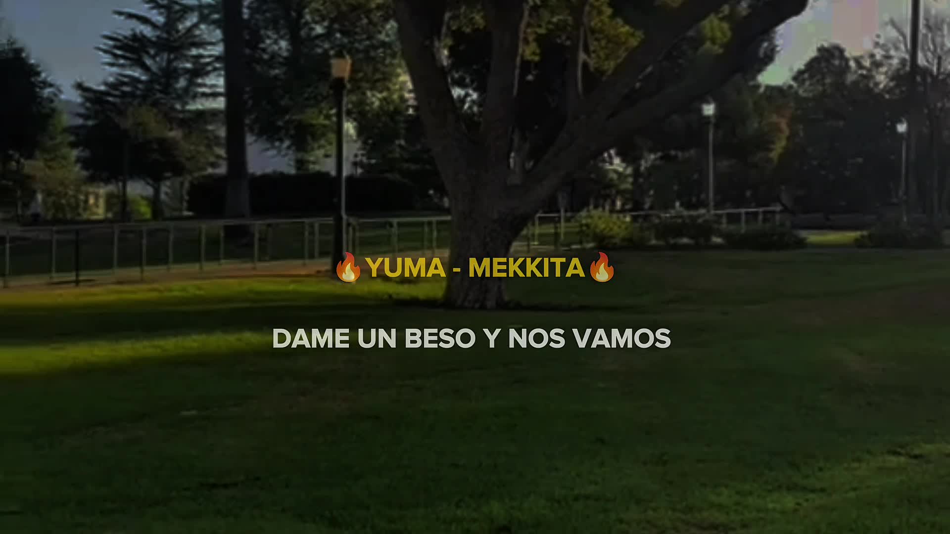 @· Rolitas ·