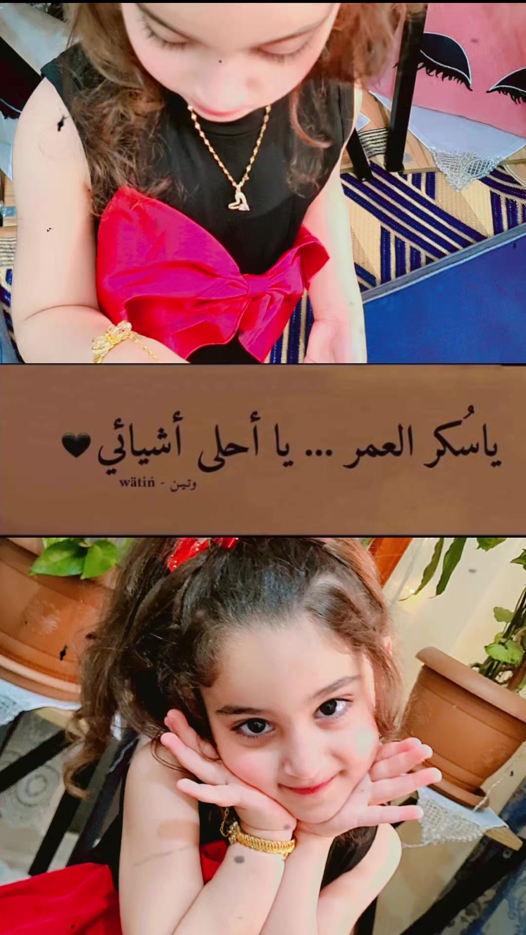 @سيرين الحامد