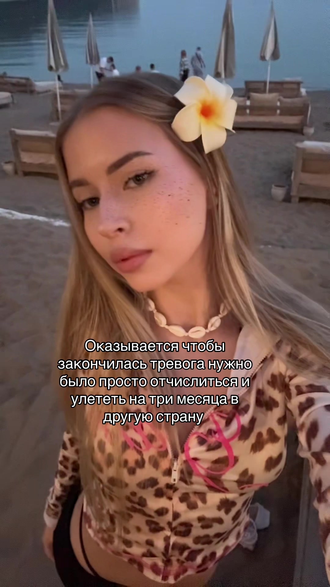 @ar1oved