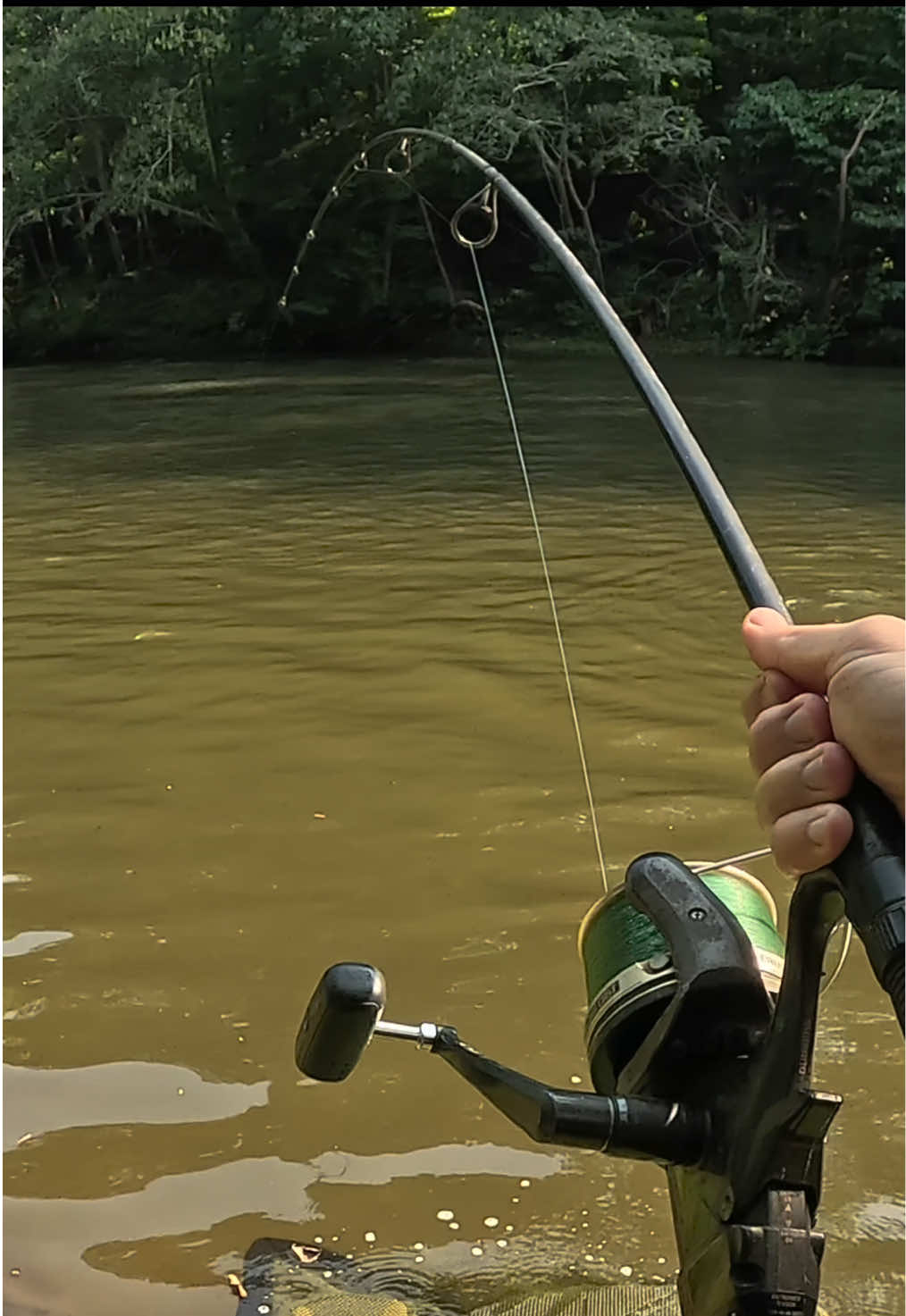 @Dunamis Angling