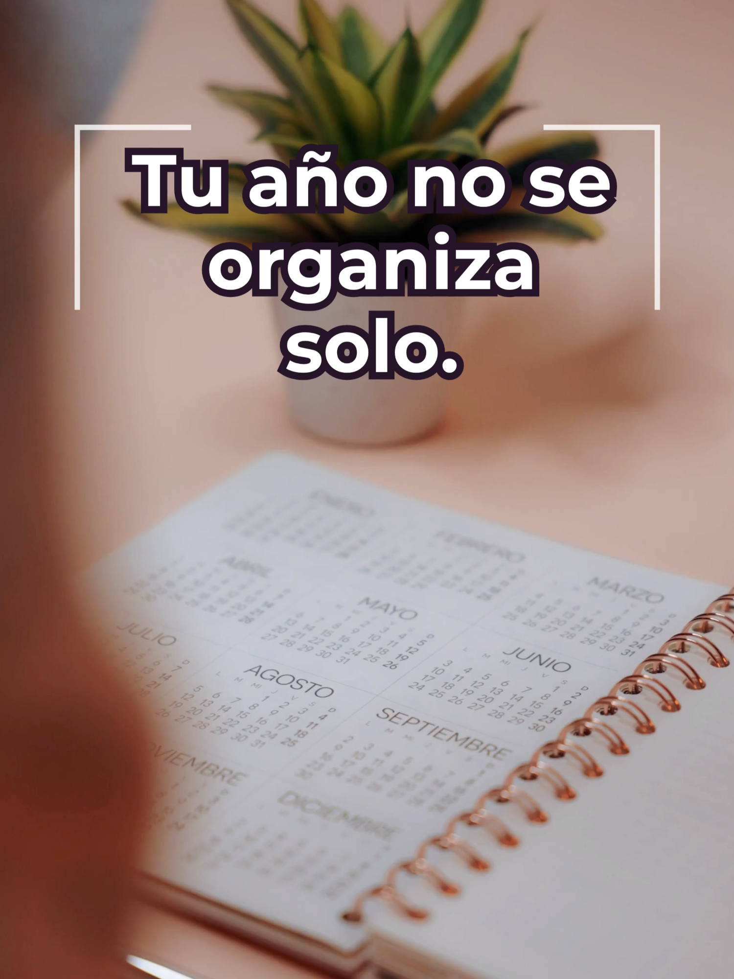 @El escritorio de Atenea