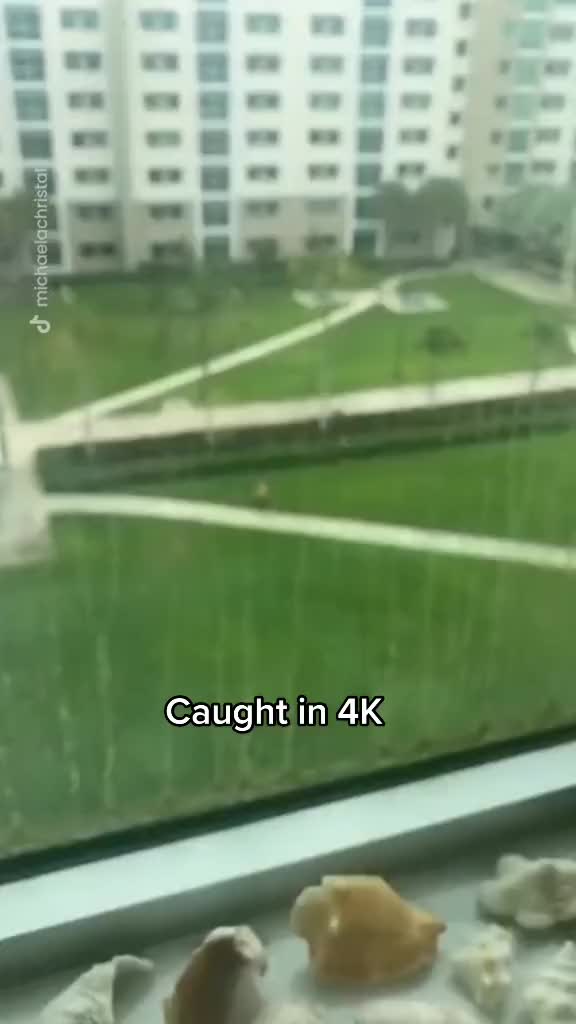 @qr4dx2