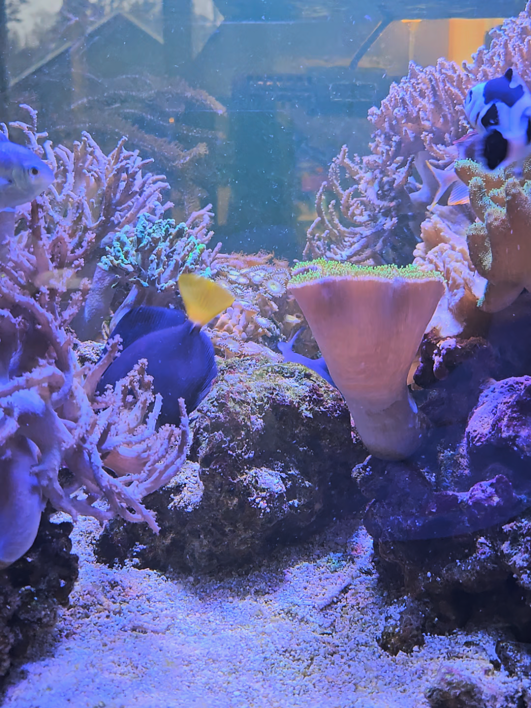 @HeyFishyFishy