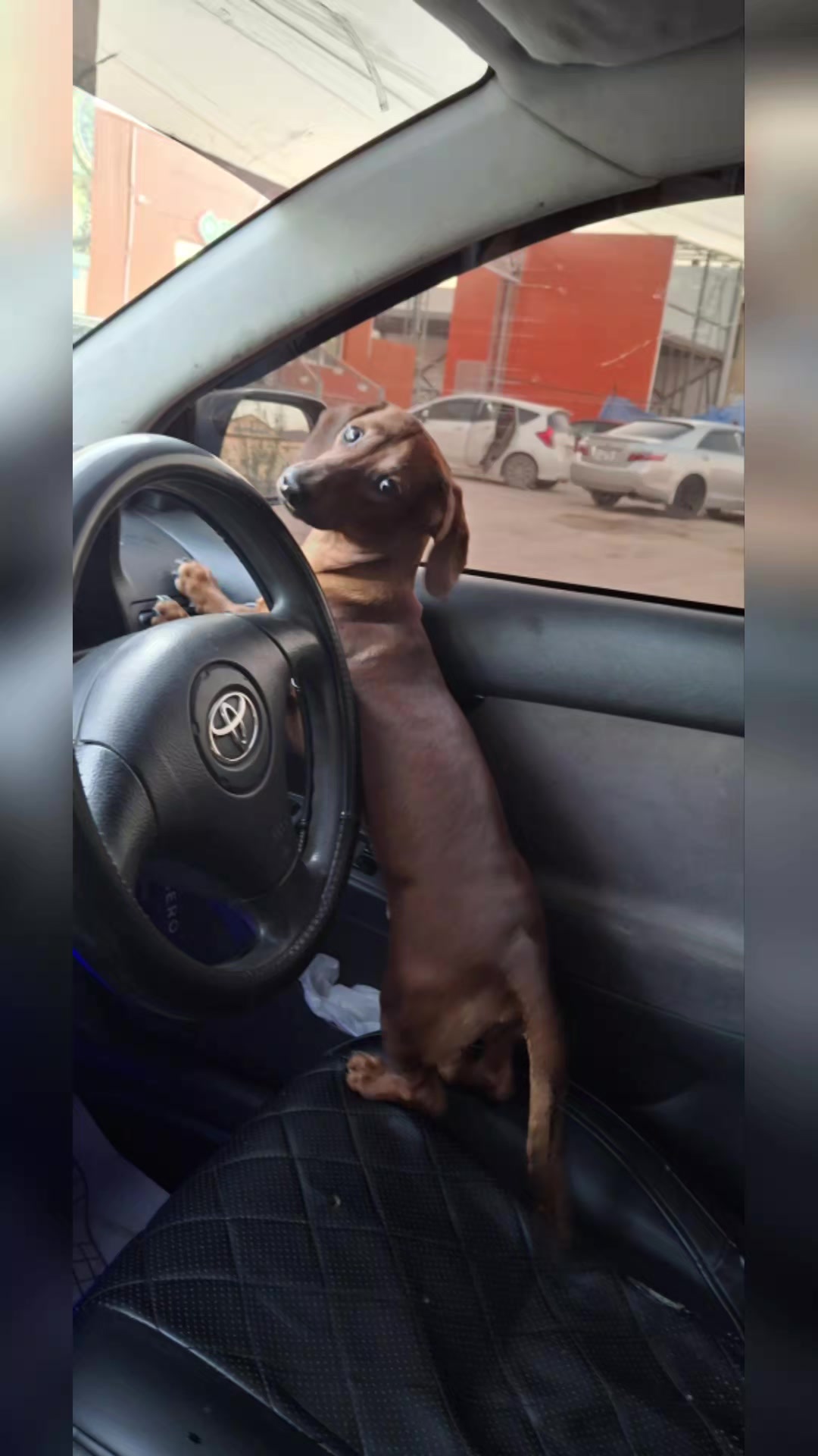 @Андрей 🤪